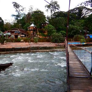 Bukit Lawang Jungle